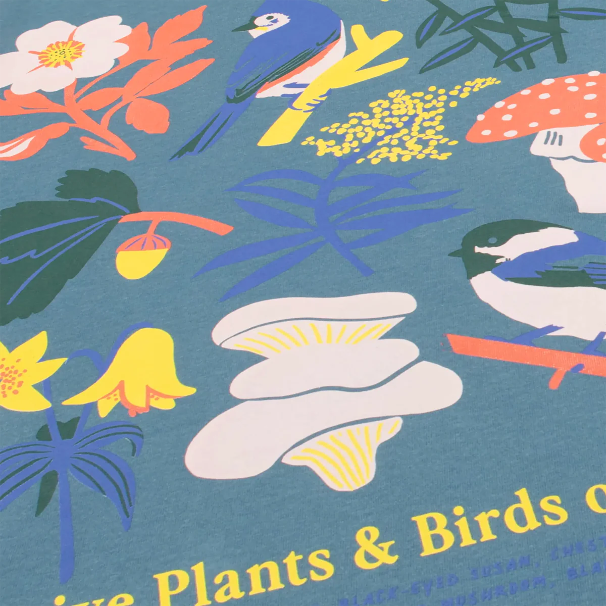 Cotton Graphic T-Shirt - Eastern Natives Tee - Native Plants Nature Style