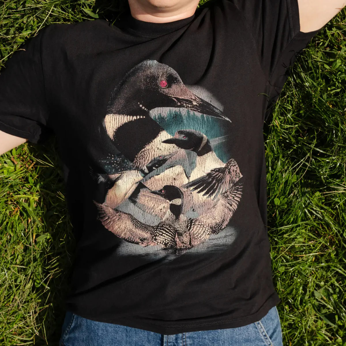 Cotton Graphic T-Shirt - Common Loon Lake Tee - Birdwatching Waterbird Nature Style