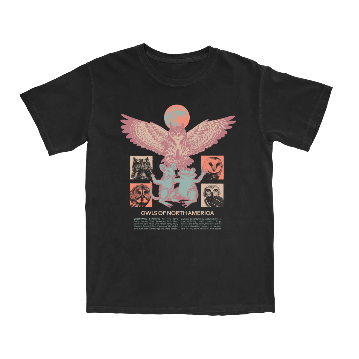 Cotton Graphic T-Shirt - Owls of North America Tee - Raptor Birdwatching Nature Style