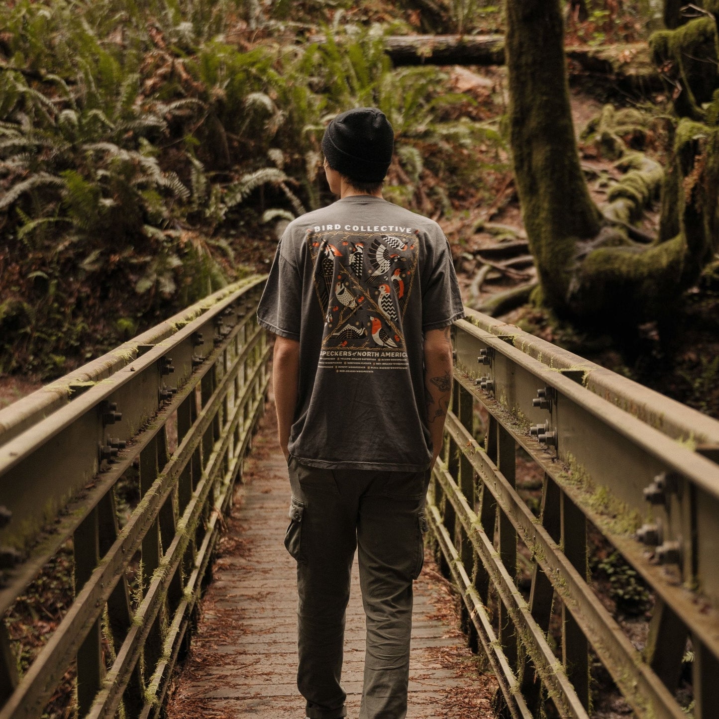 Cotton Graphic T-Shirt - Woodpeckers of North America Tee - Birdwatching Forest Nature Style