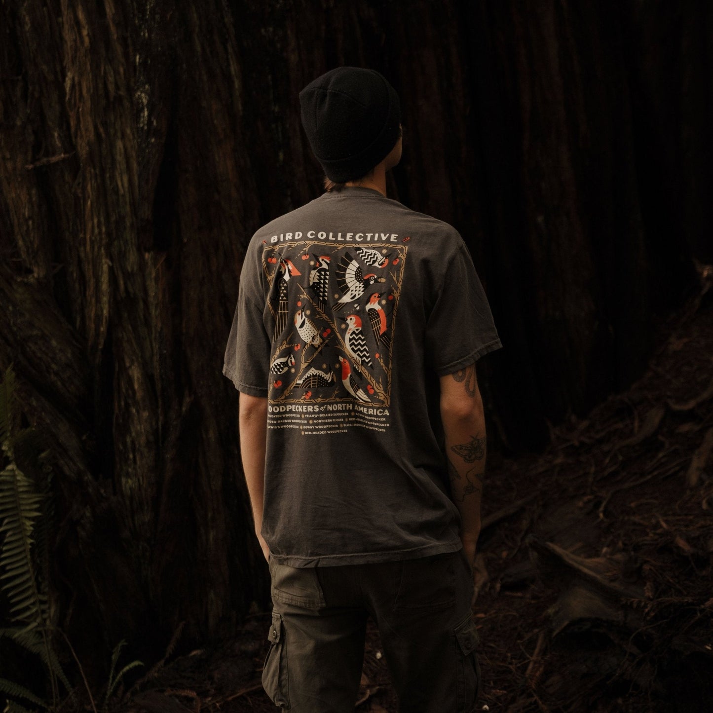 Cotton Graphic T-Shirt - Woodpeckers of North America Tee - Birdwatching Forest Nature Style